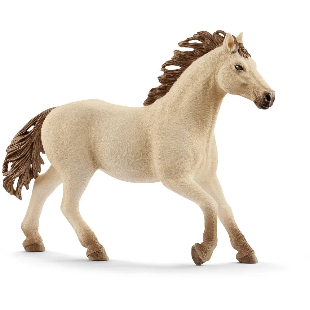 Western Riding